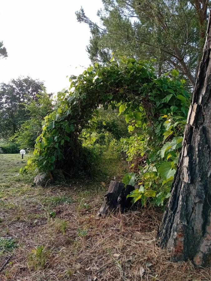 Borgo De' Muracci Ribolla Exterior foto